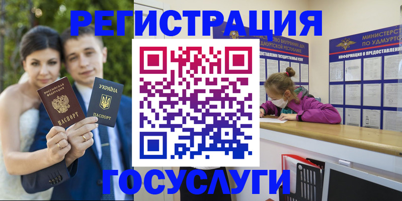 прописка поиск в Грязовце